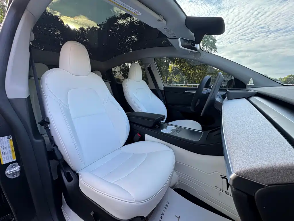 Tesla Model Y — миниатюра 7