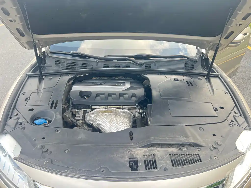 Geely Borui — миниатюра 20