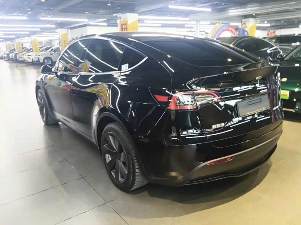 Tesla Model Y — миниатюра 5