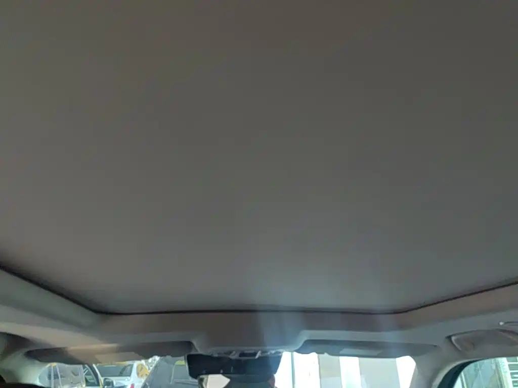 Haval Cool Dog — миниатюра 18