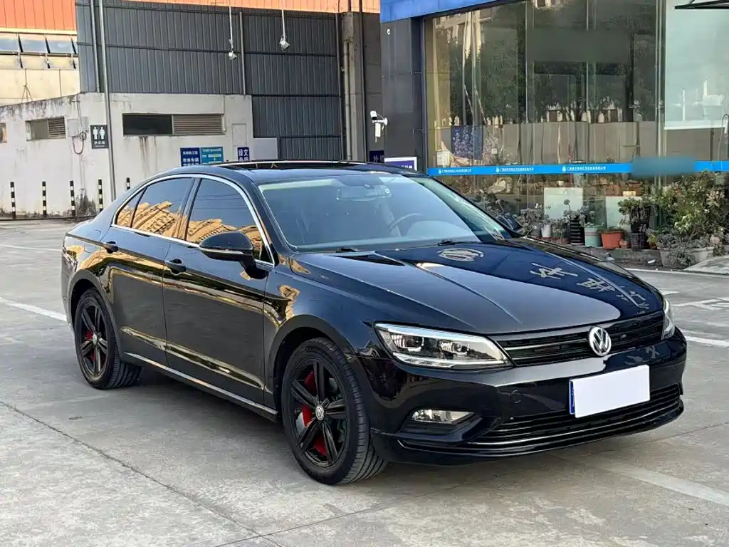 Volkswagen Lamando — миниатюра 4