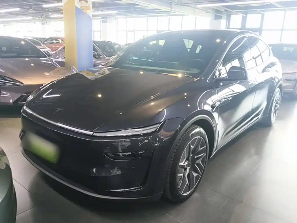 Tesla Model Y L — миниатюра 2