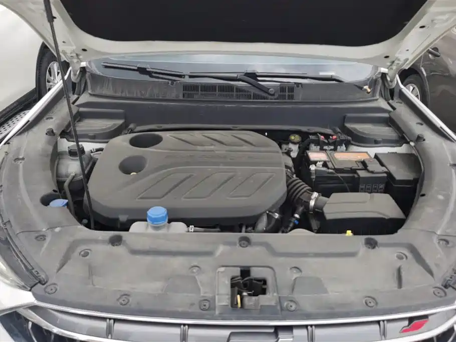 Oshan X5 2021 1.5T DCT Luxury