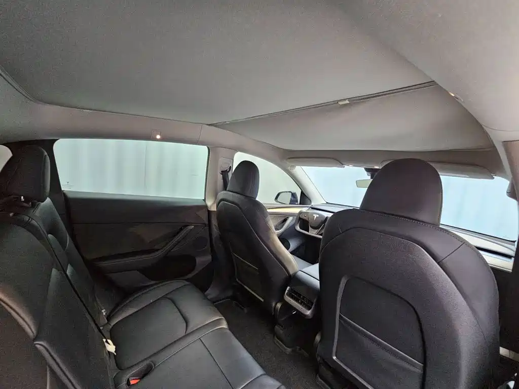 Tesla Model Y — миниатюра 21