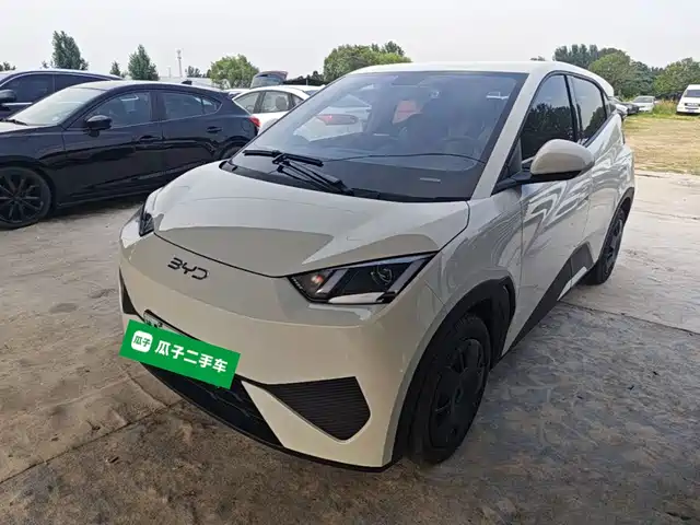 2025 BYD Seagull