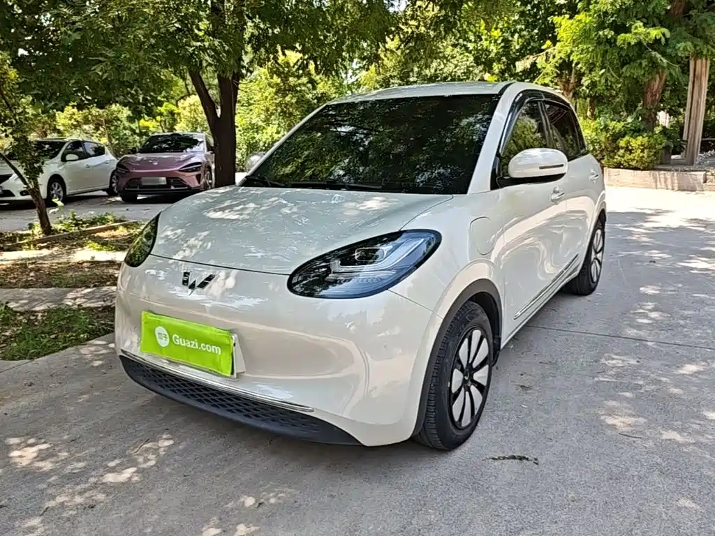Wuling Binguo 2024 333km Delight