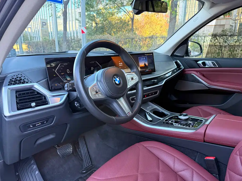 BMW X5 — миниатюра 11
