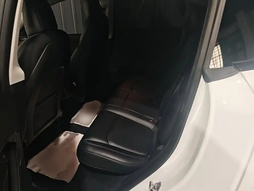 Tesla Model Y — миниатюра 17