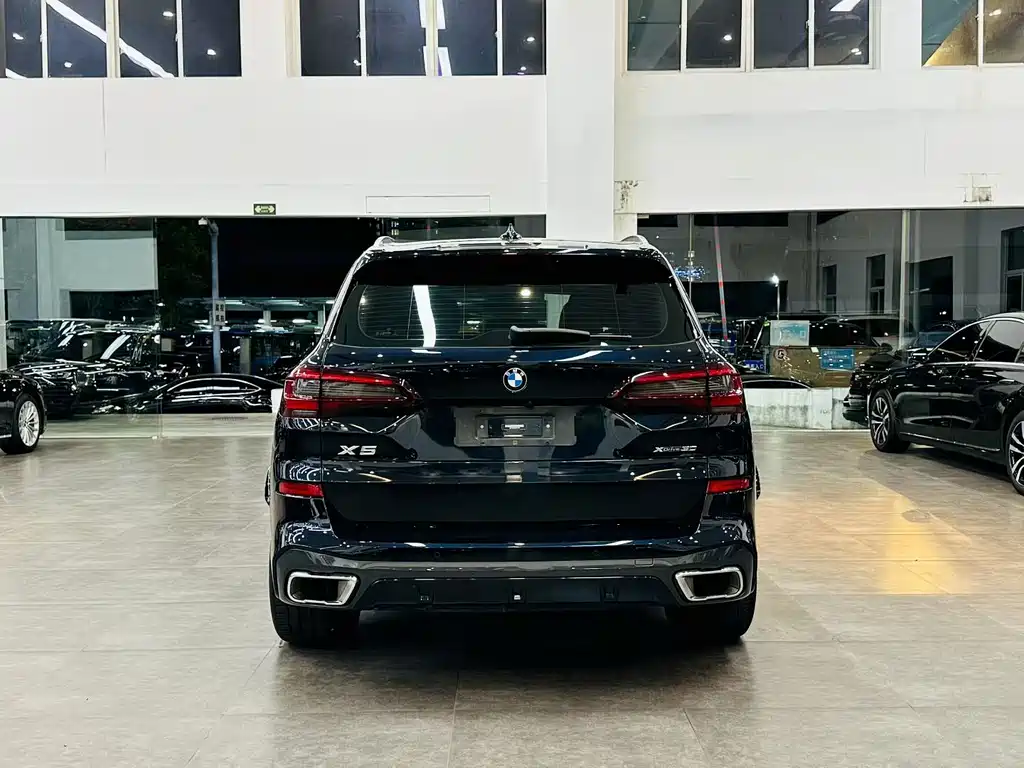 BMW X5 — миниатюра 4