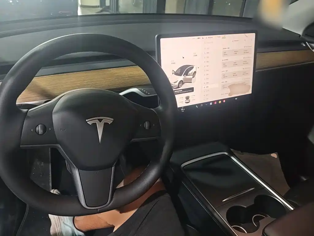 Tesla Model Y — миниатюра 10