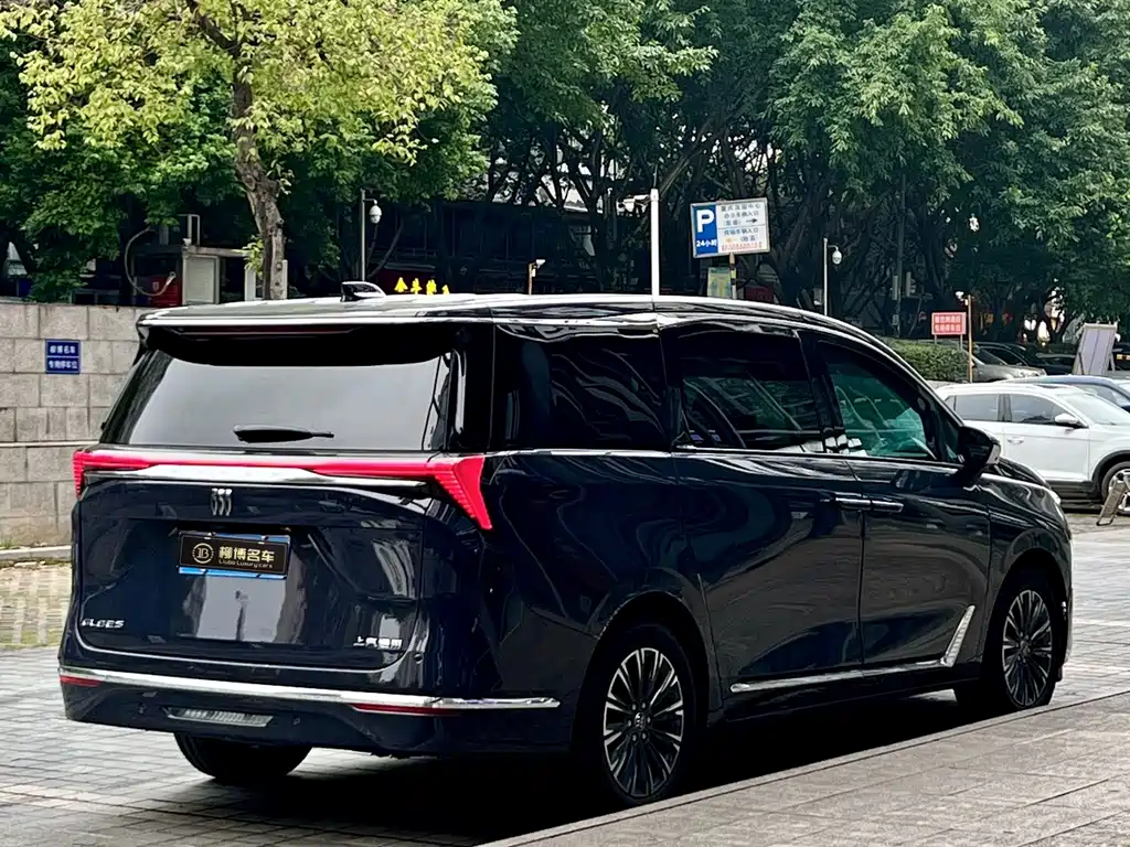 Buick GL8 — миниатюра 5