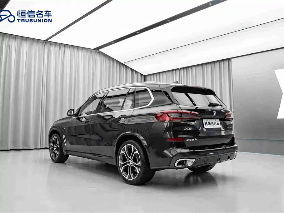 BMW X5 — миниатюра 7