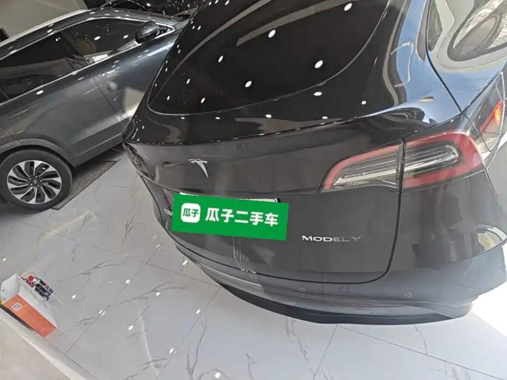Tesla Model Y — миниатюра 6