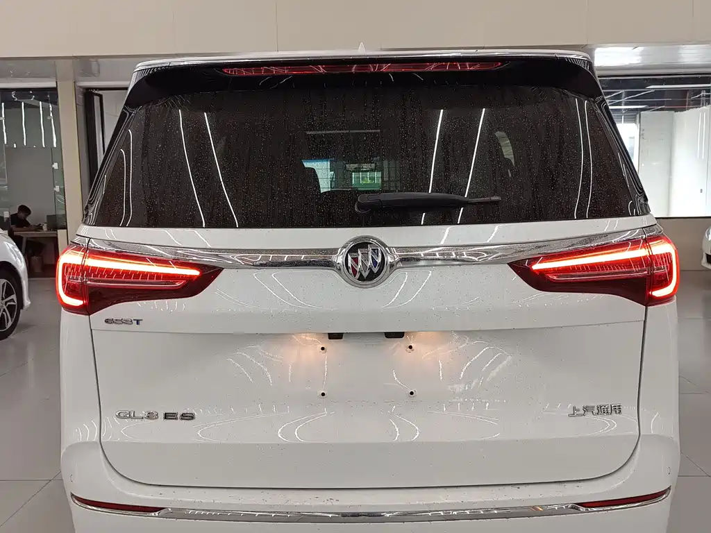 Buick GL8 — миниатюра 8
