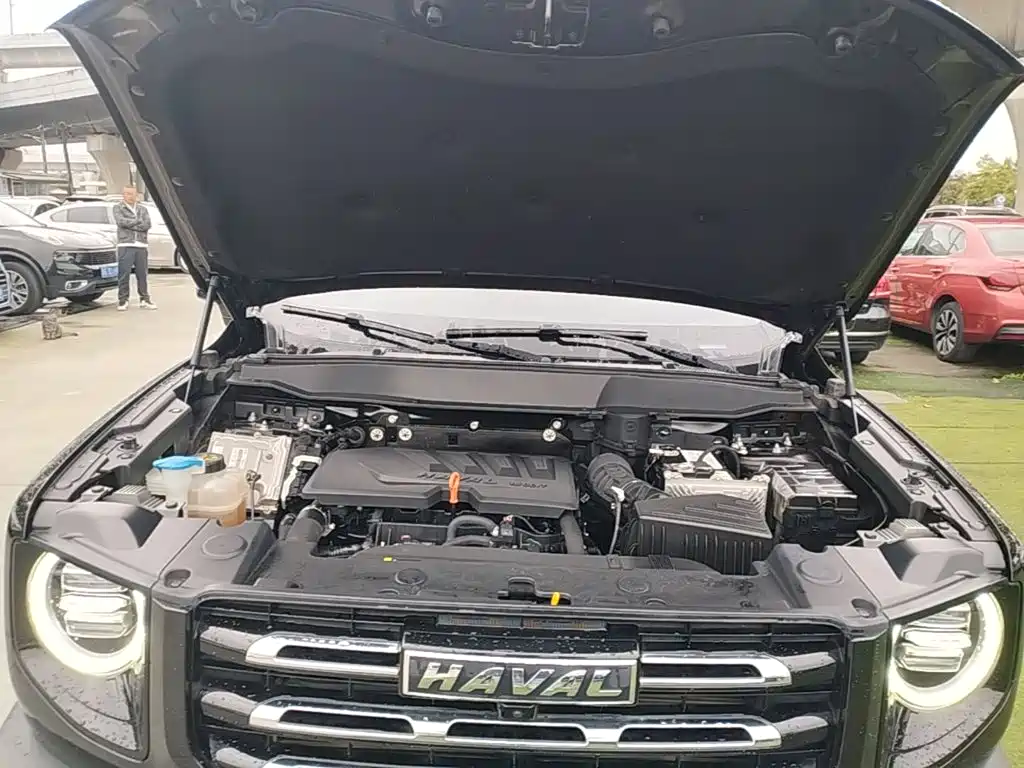 Haval Big Dog — миниатюра 20