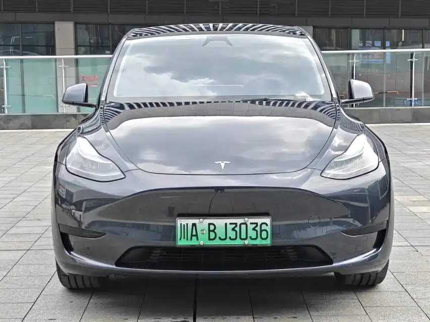 Tesla Model Y — миниатюра 2