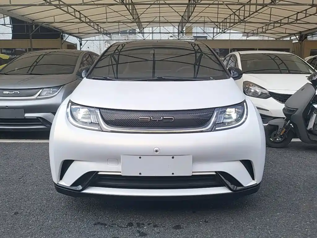BYD Dolphin — миниатюра 3