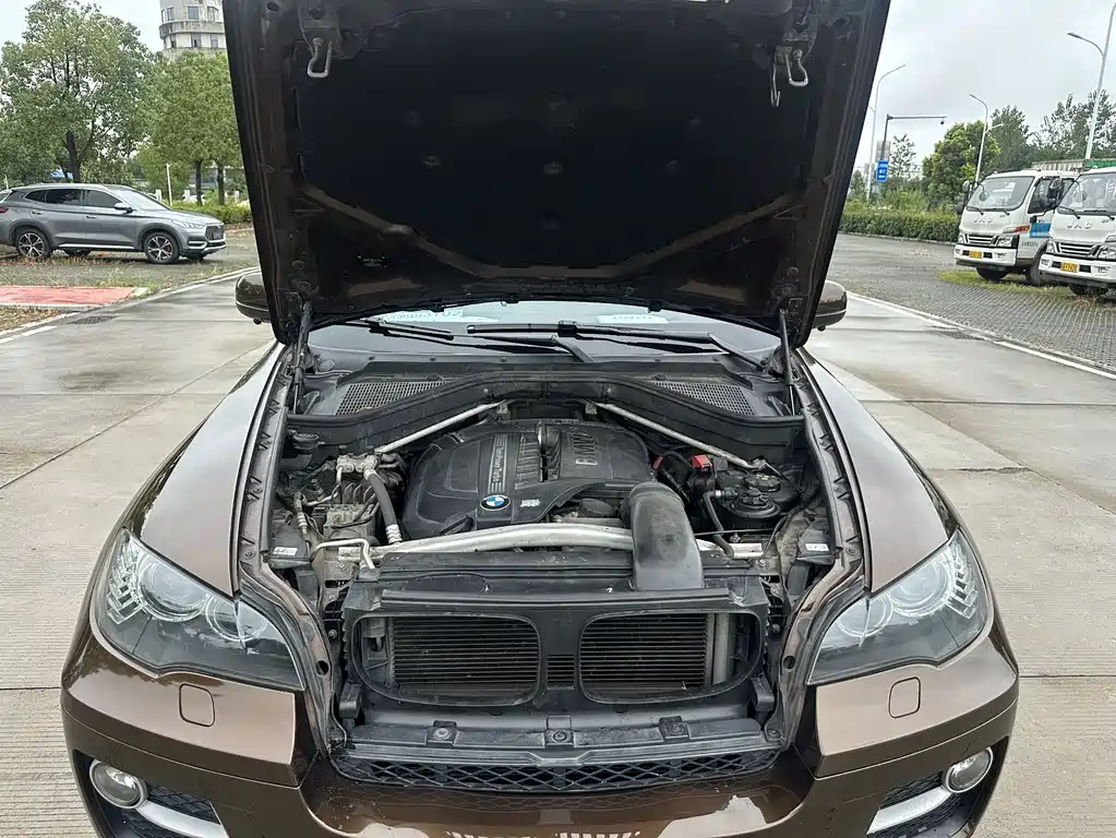 BMW X6 — миниатюра 19
