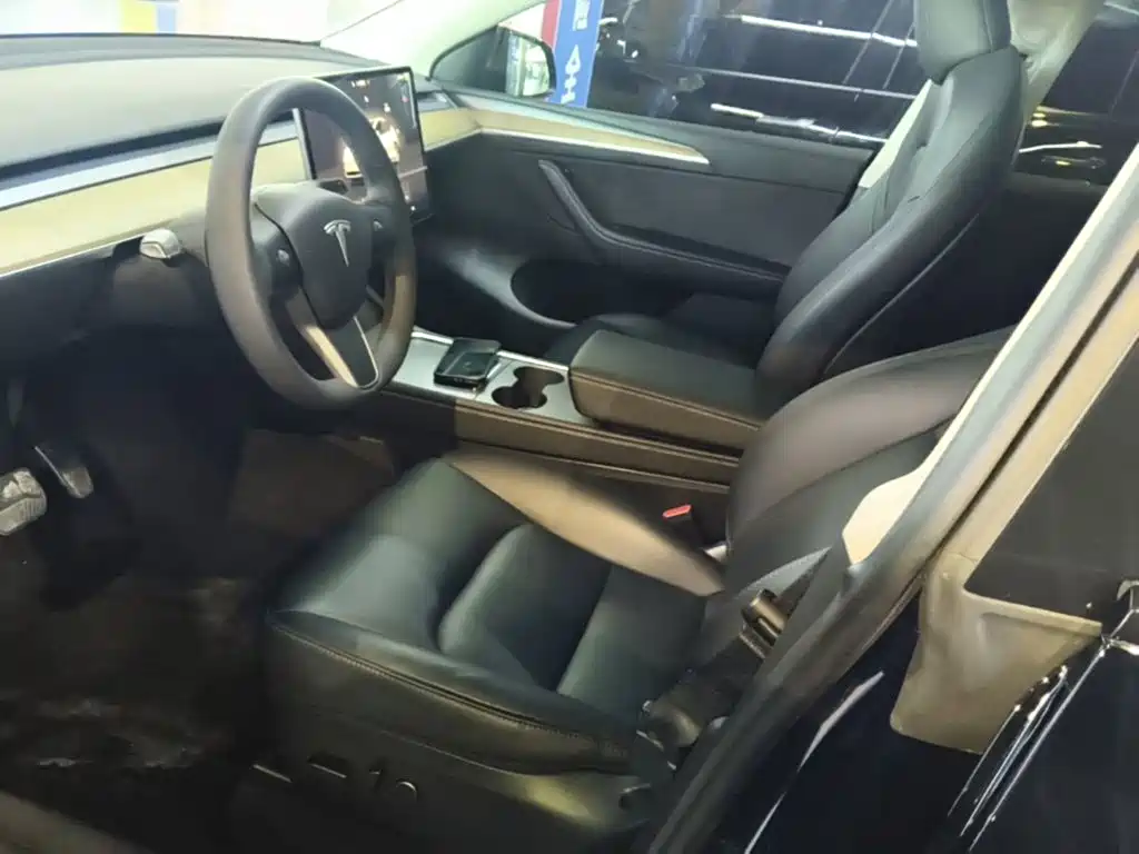 Tesla Model Y — миниатюра 15