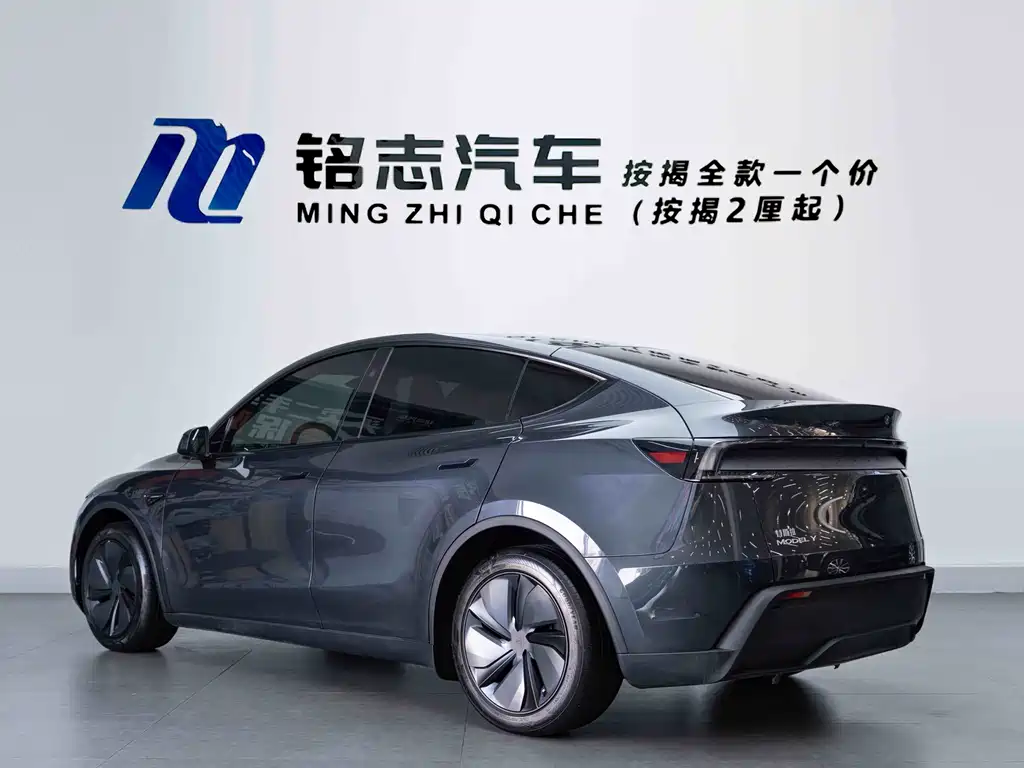 Tesla Model Y — миниатюра 8