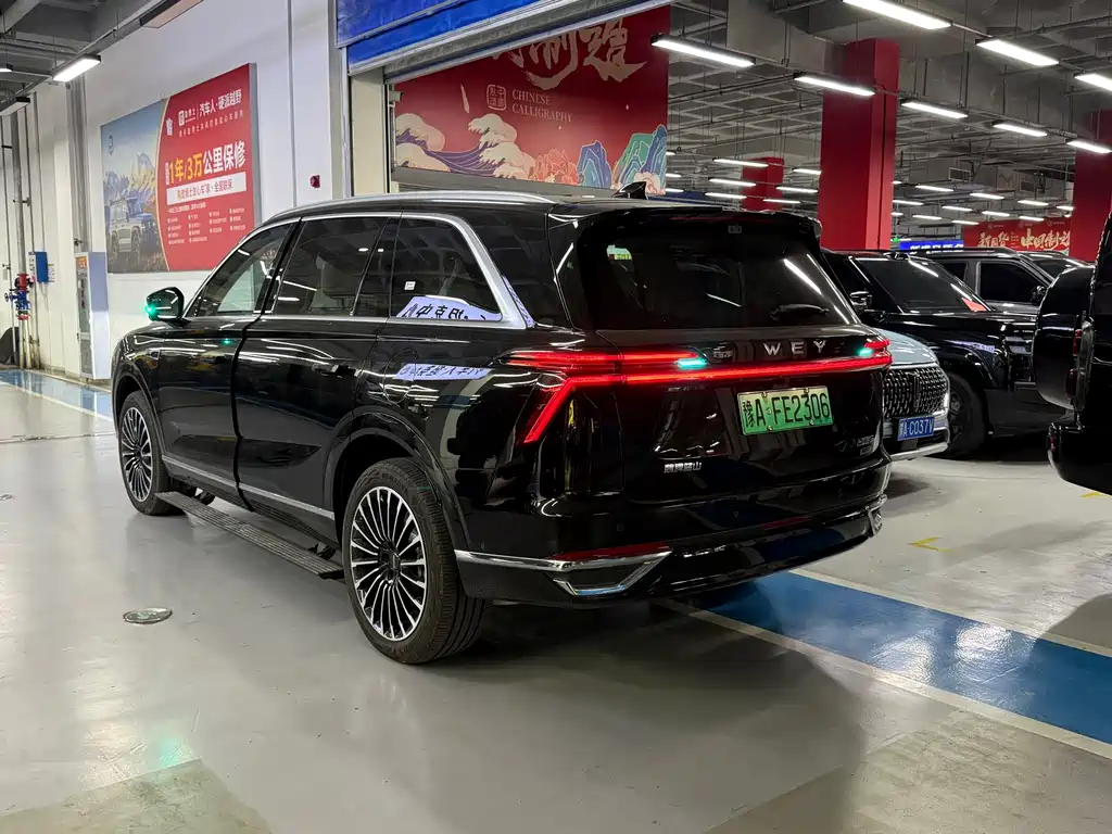 Wey Wey Lanshan — миниатюра 3