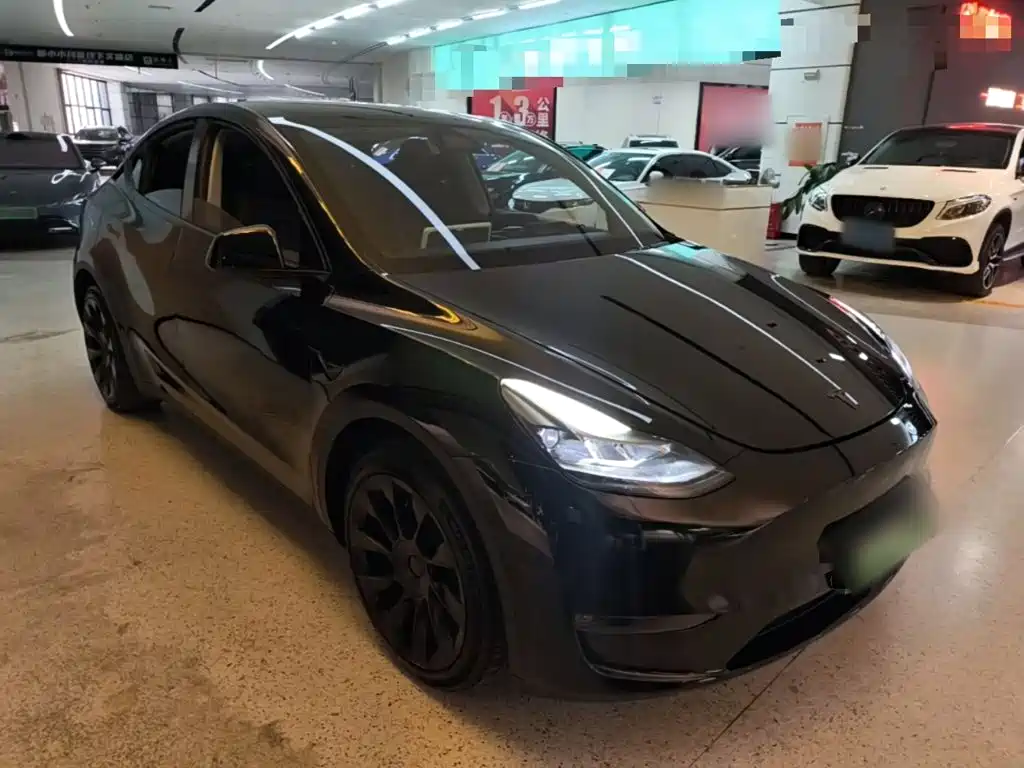 Tesla Model Y — миниатюра 4