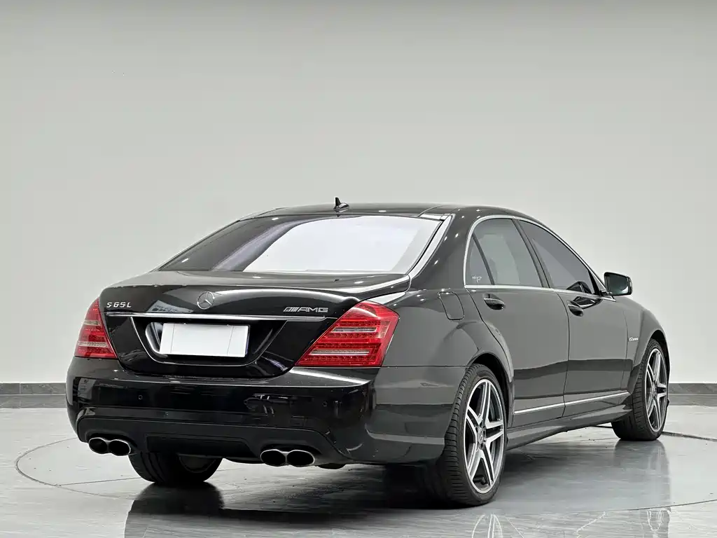 Mercedes-Benz S-Class A MG S AMG 2010 AMG S 65