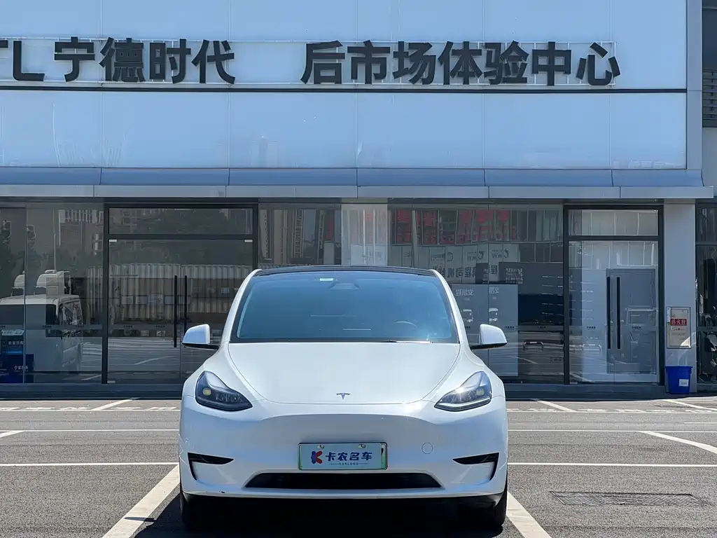 Tesla Model Y — миниатюра 2