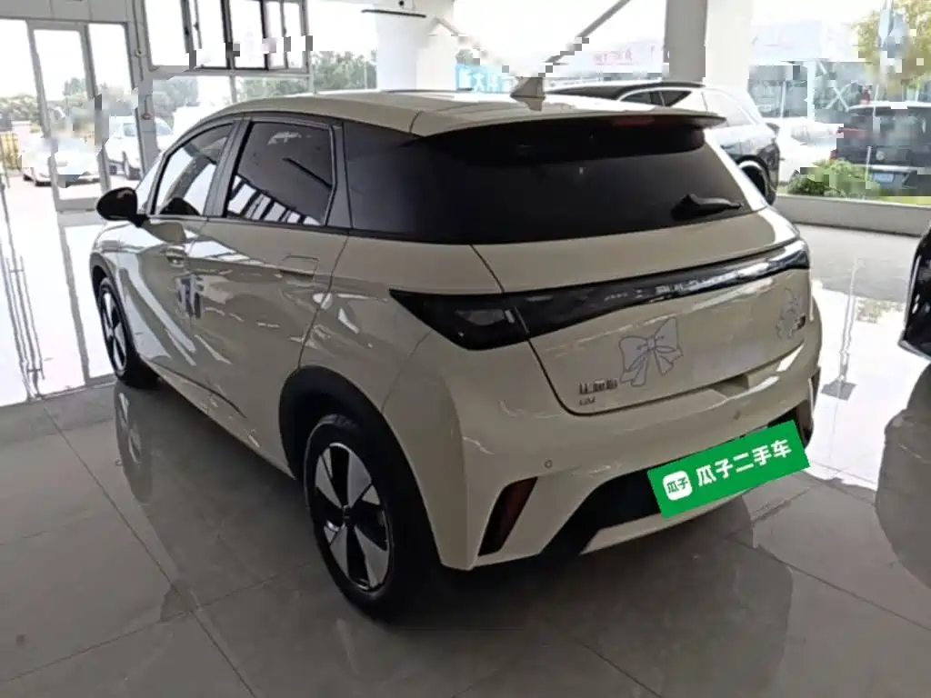 BYD Dolphin — миниатюра 5