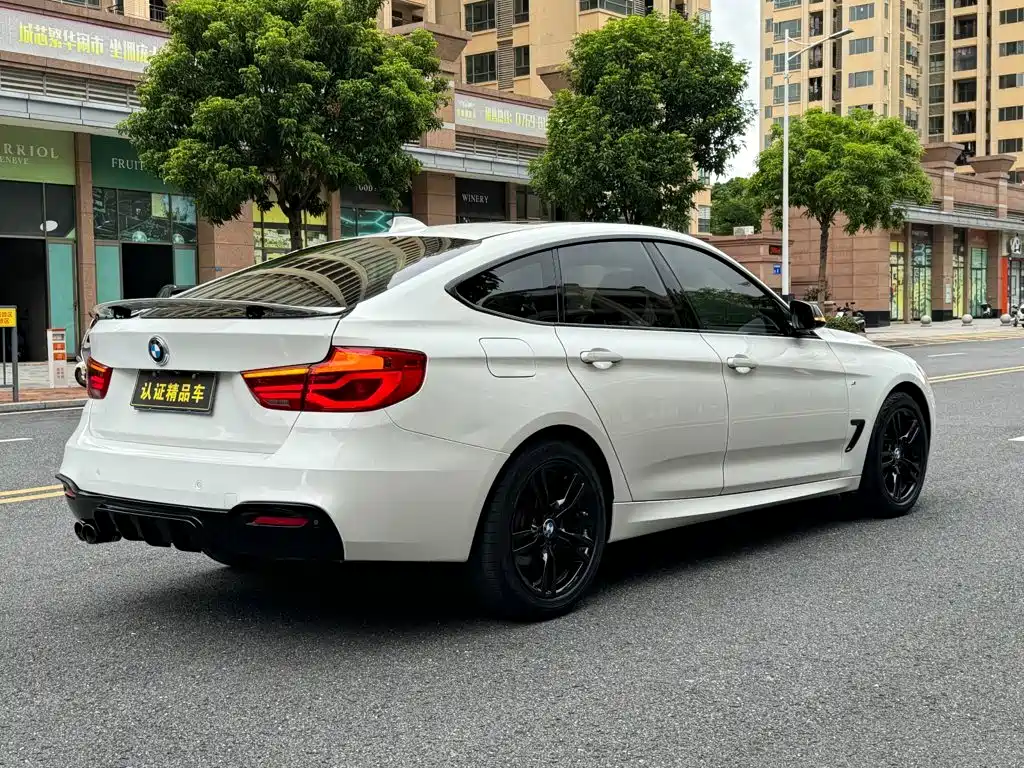 BMW 3 Series GT — миниатюра 10