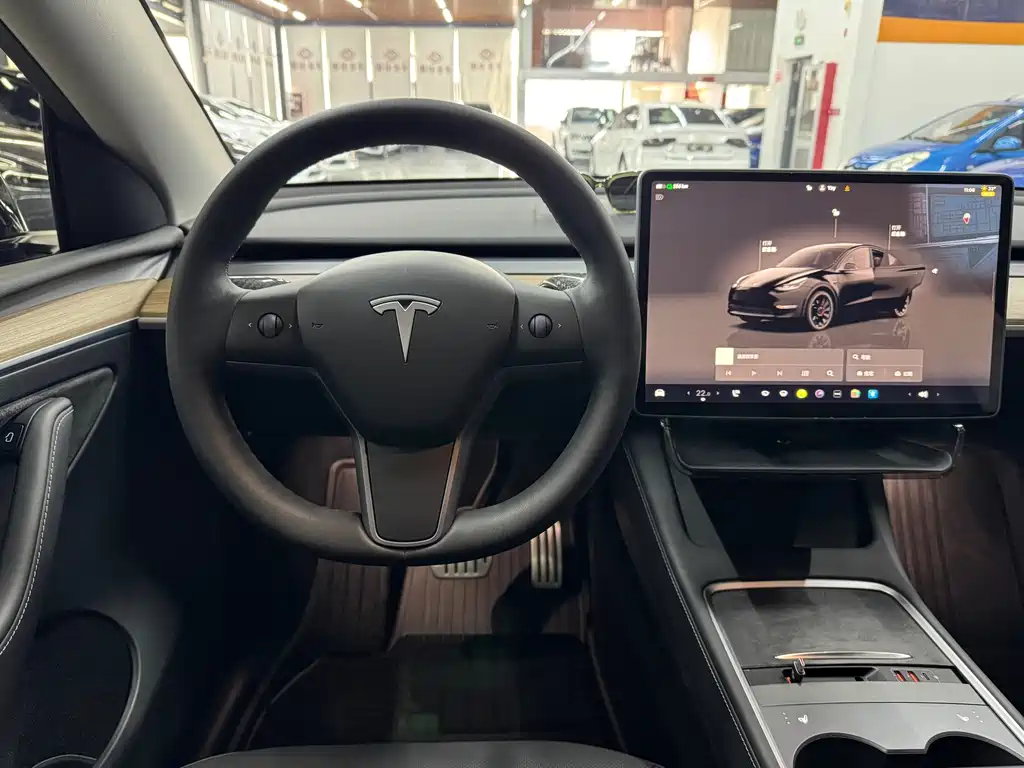 Tesla Model Y — миниатюра 13