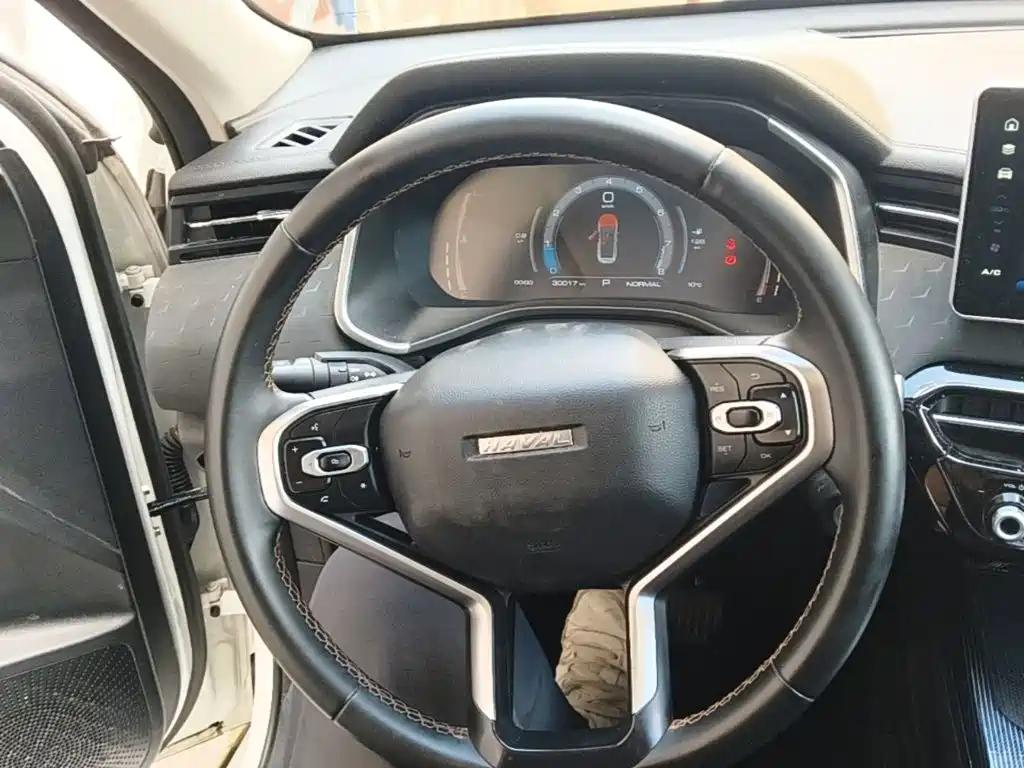 Haval Chitu — миниатюра 11