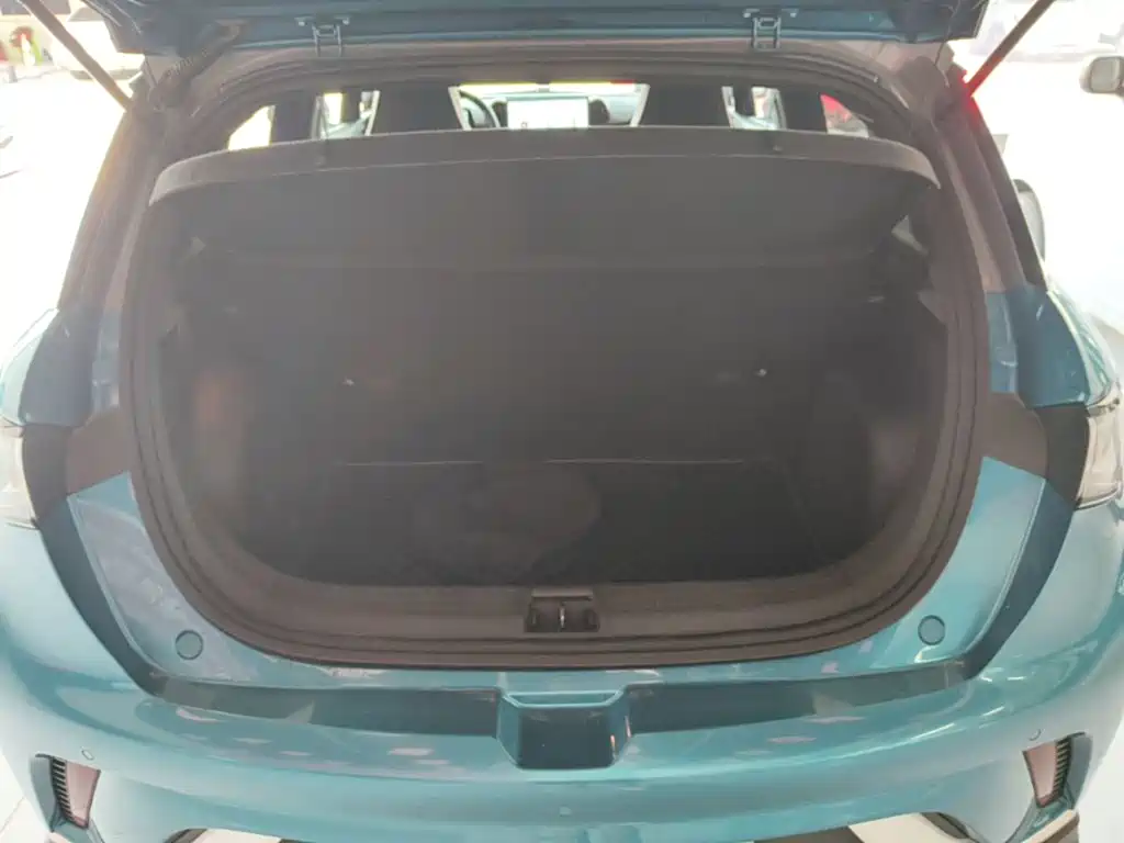 BYD Dolphin — миниатюра 19