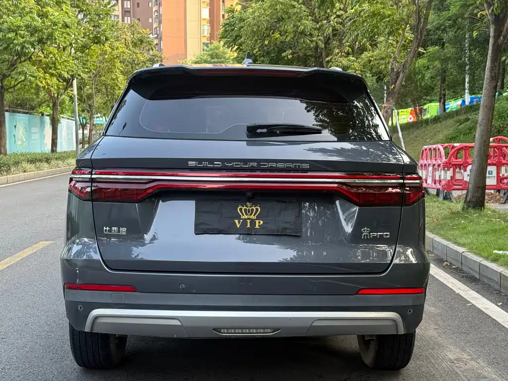 BYD Pro — миниатюра 5