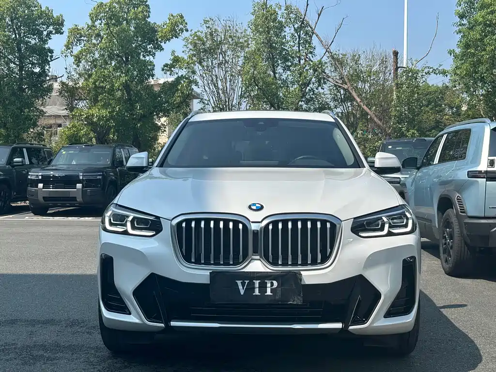 BMW X3 — миниатюра 2