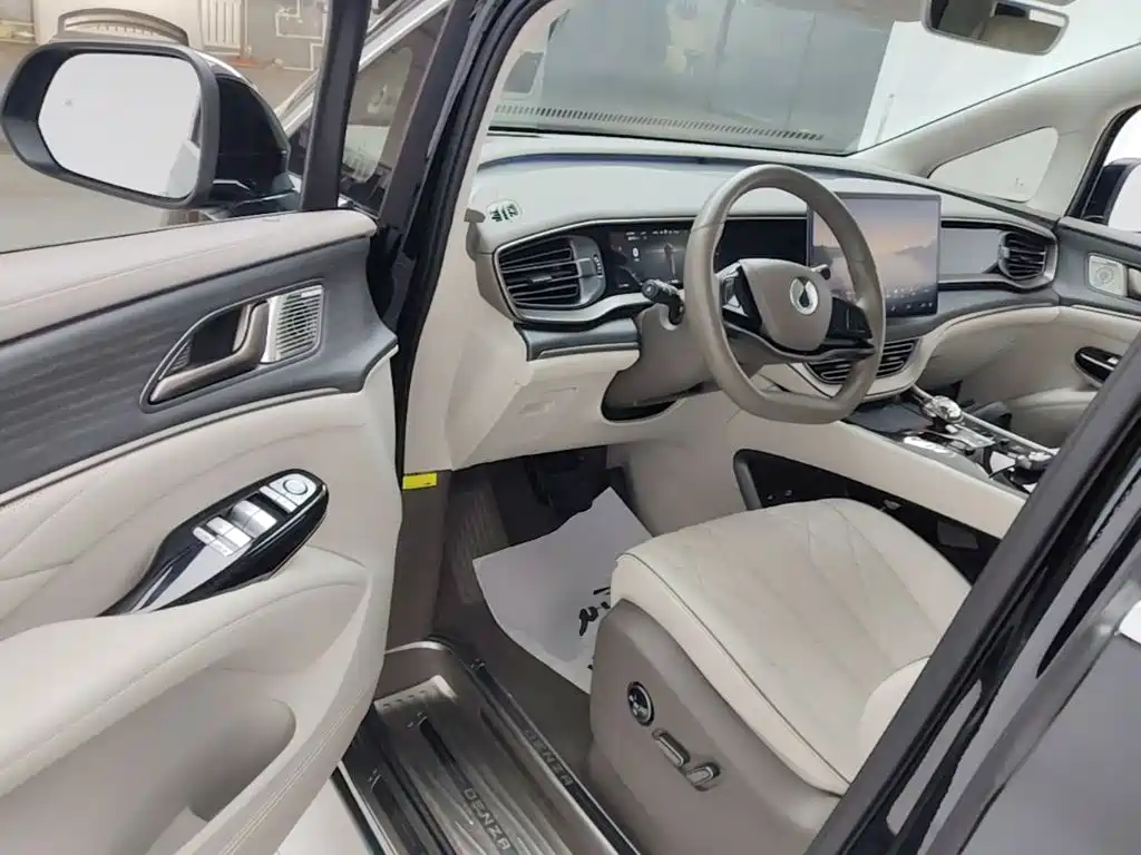 Denza Denza D9 — миниатюра 16