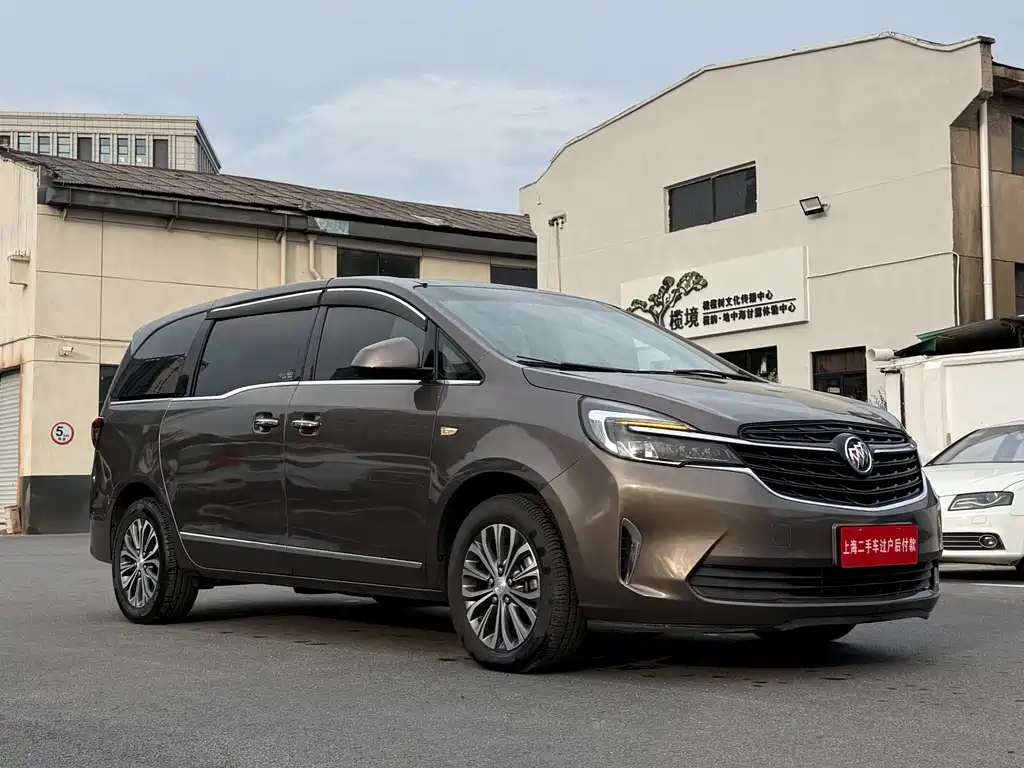 Buick GL8 — миниатюра 3