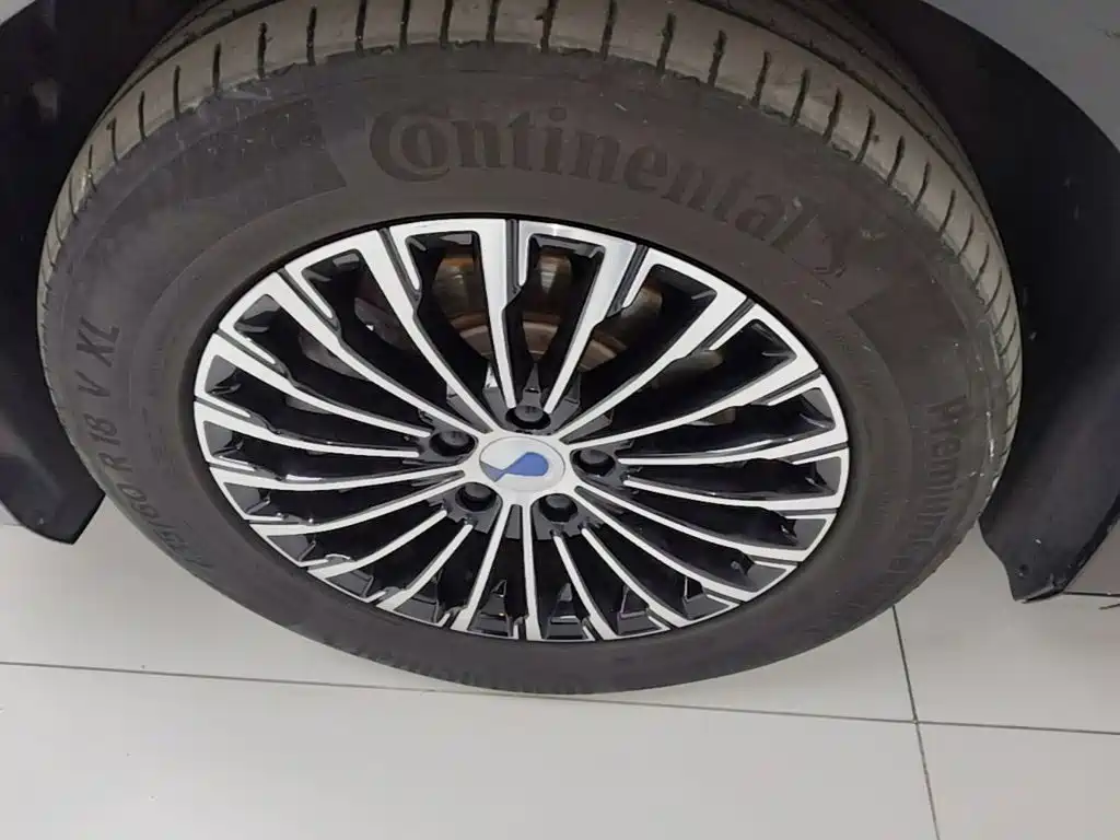 Denza Denza D9 — миниатюра 23