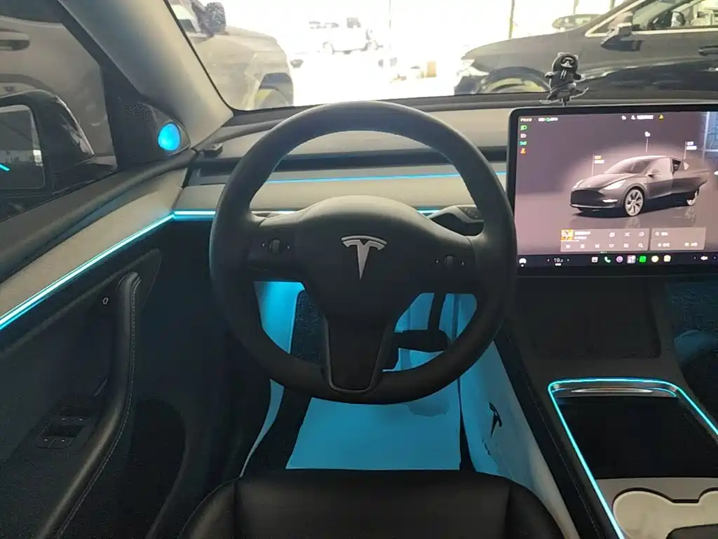 Tesla Model Y — миниатюра 11