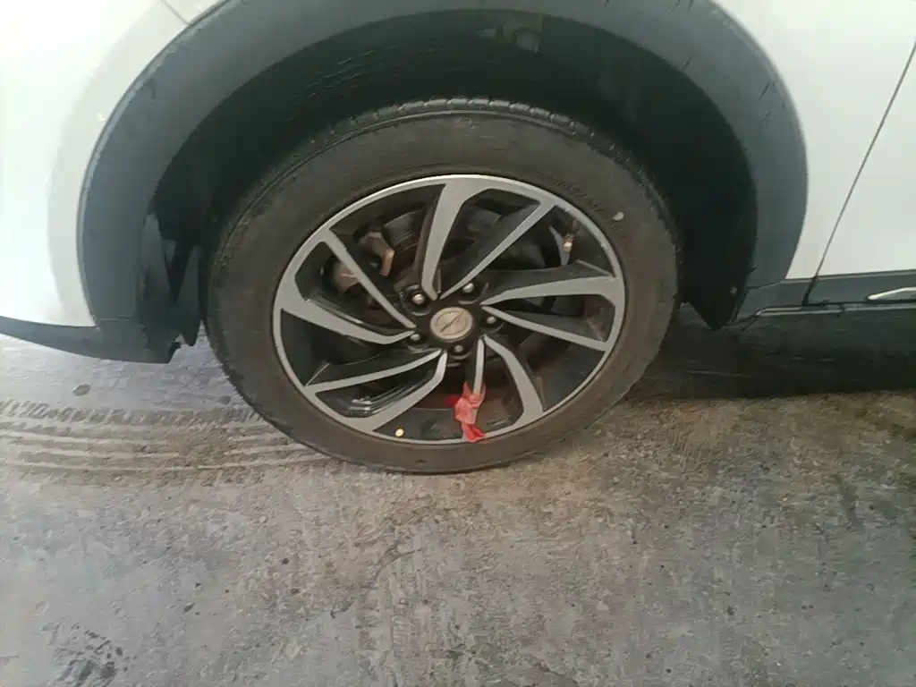Zotye Zotye T300 — миниатюра 23