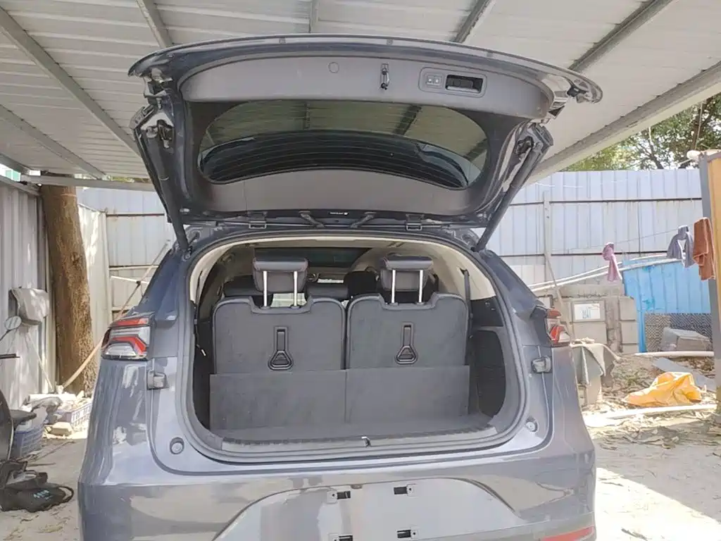 BYD Tang New Energy — миниатюра 19