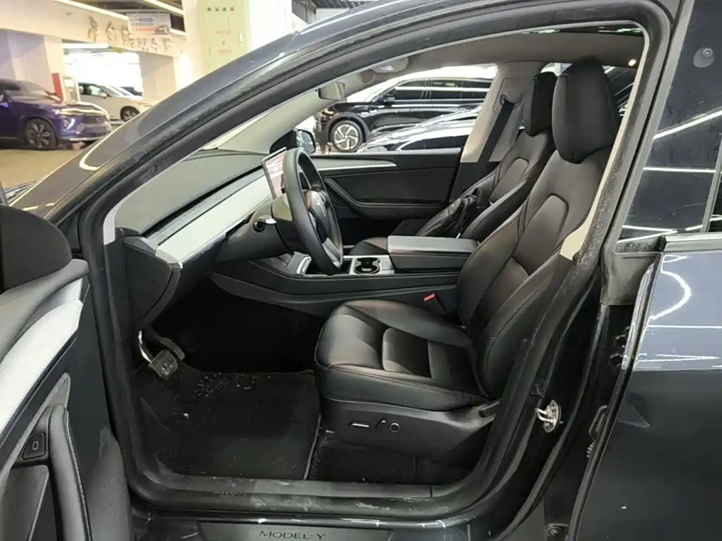 Tesla Model Y — миниатюра 15