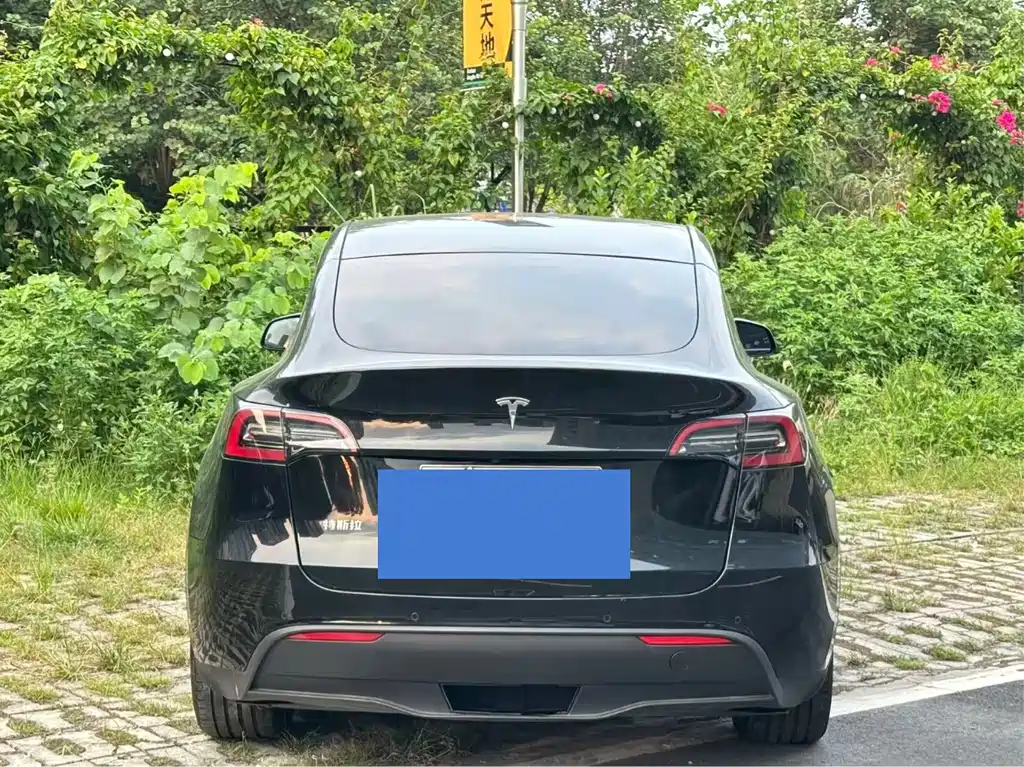 Tesla Model Y — миниатюра 4