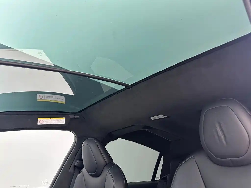 Tesla Model X — миниатюра 14