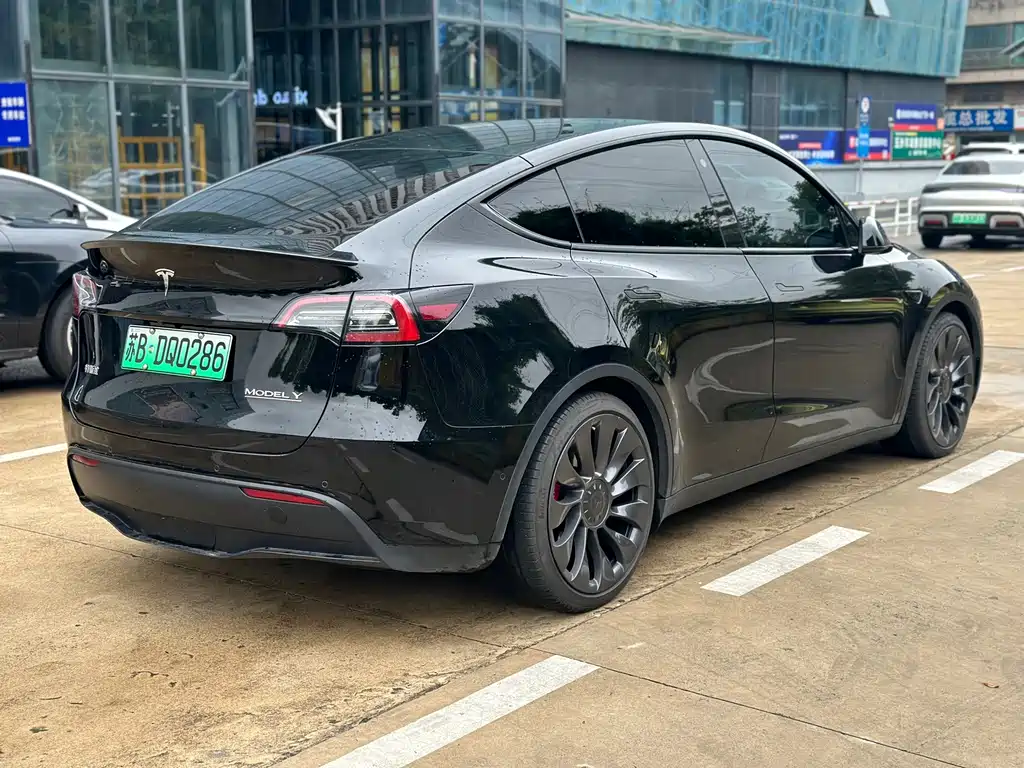 Tesla Model Y — миниатюра 2