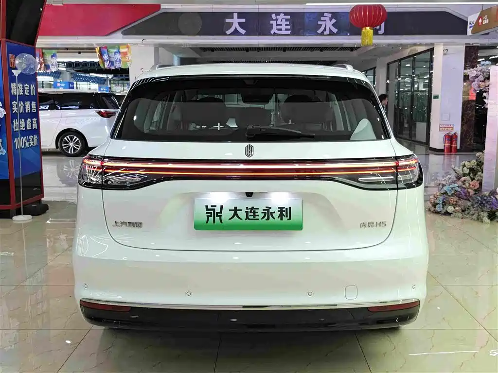 Shangjie Shangjie H5 — миниатюра 14