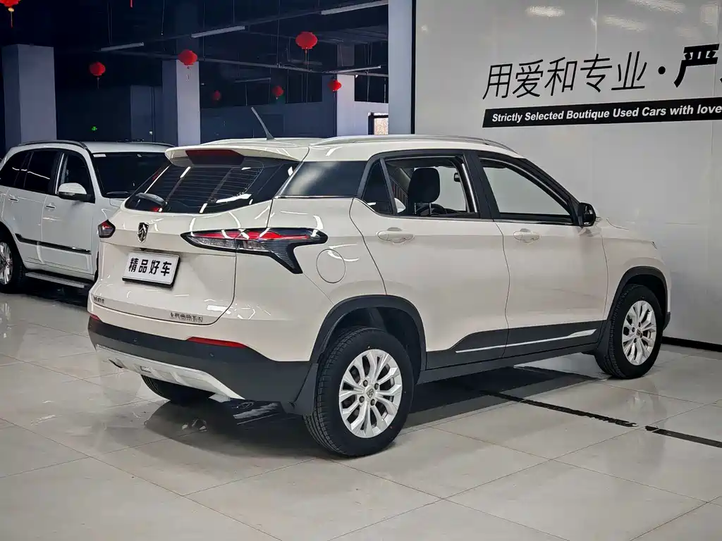 BAOJUN 510
