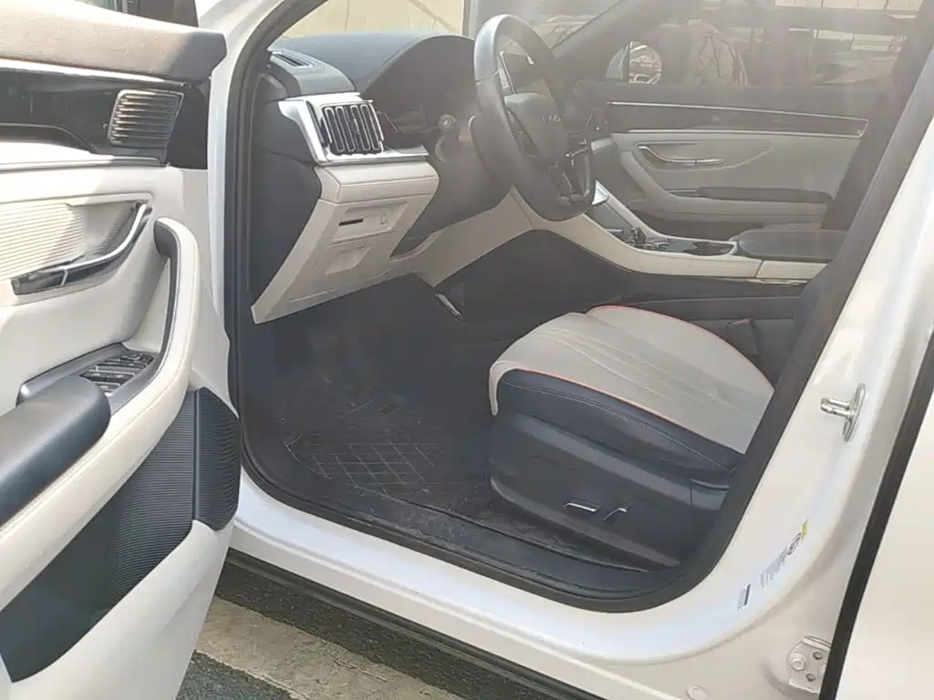 BYD PLUS New Energy — миниатюра 16