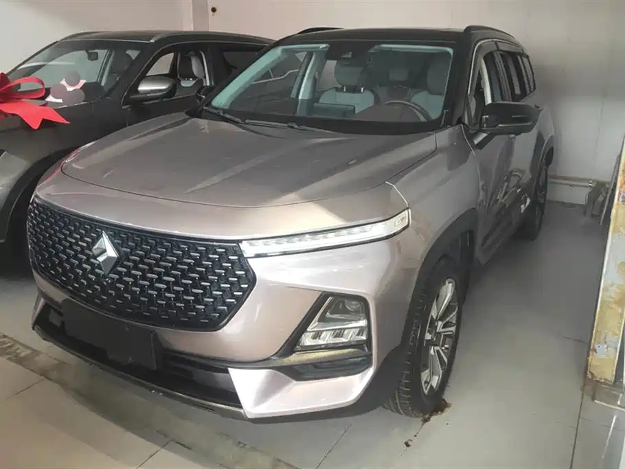 Baojun RS-5 2019 1.5T CVT Smart Drive Control Flagship Edition China V