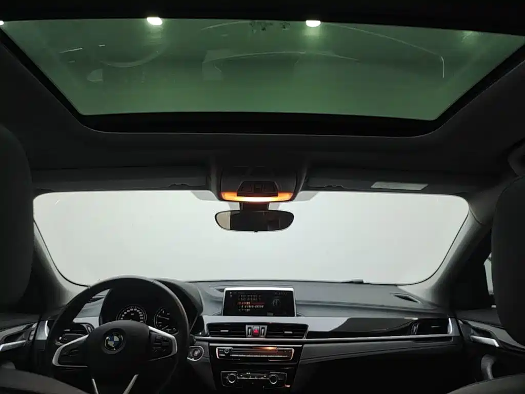 BMW X2 (Import) — миниатюра 18